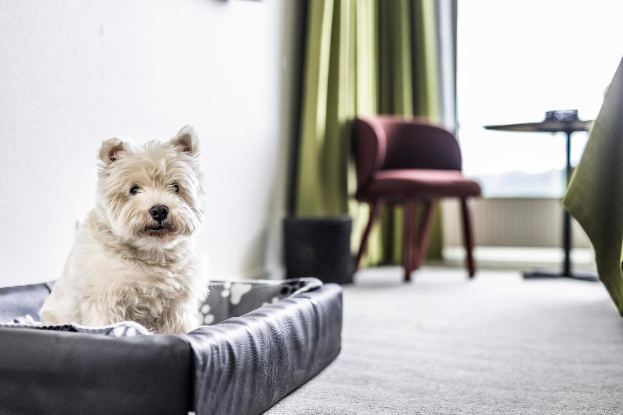The Note Hotel 4*